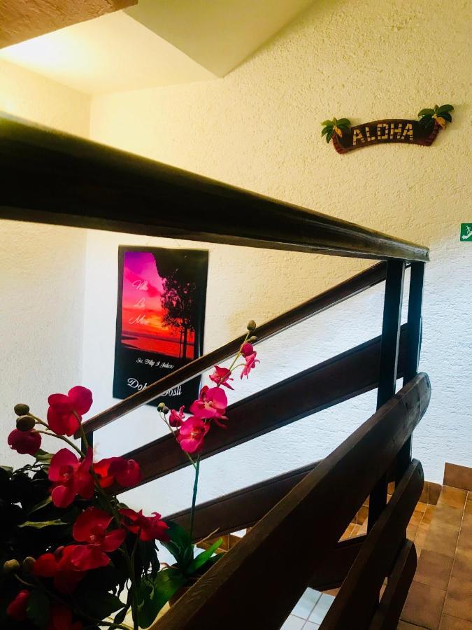 Villa La More - Sv Filip I Jakov スベティ・フィリップ・イ・ヤコブ エクステリア 写真